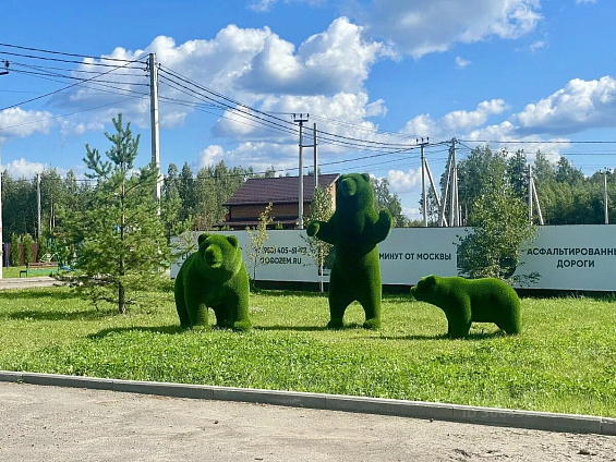 Участок 8,4 соток
