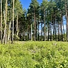 Участок 8,4 соток