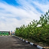 Участок 10 соток