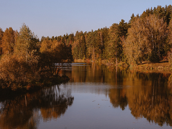 Shelkovo Park