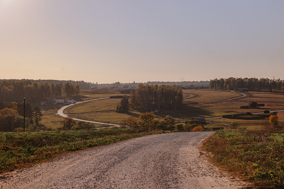 Shelkovo Park