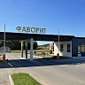Фаворит