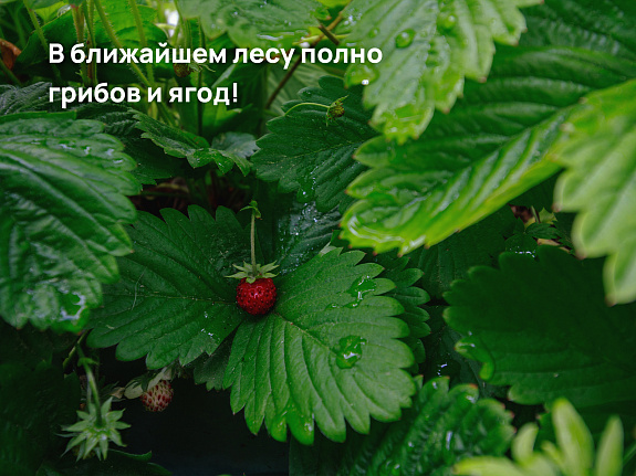 Заворово