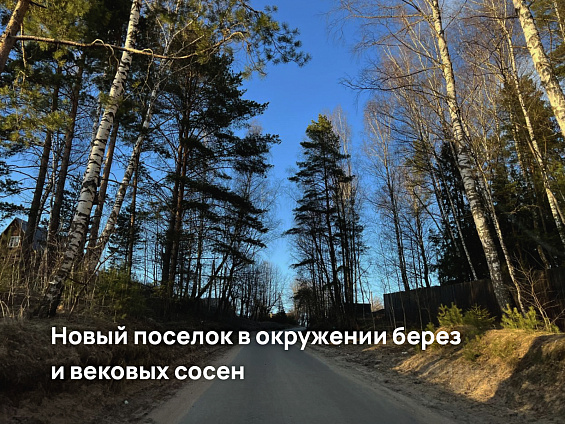 Участок 7,26 сот.