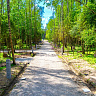 Участок 5,1 соток