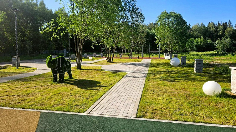 Участок 5,1 соток