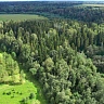 РигаЛес