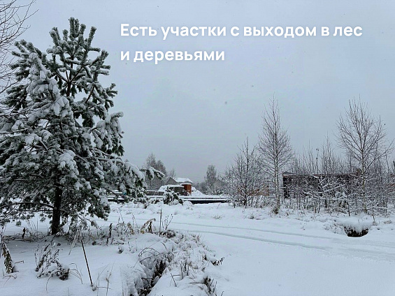 Участок 7,26 сот.