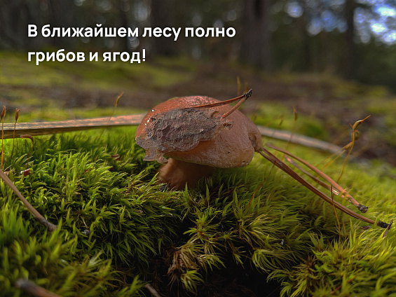 Участок 7,26 сот.