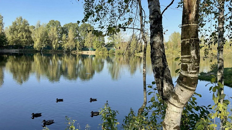 Участок 7,11 сот.