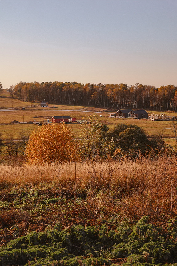 Shelkovo Park