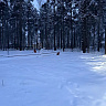 Участок 11 соток